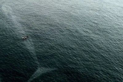 ballena