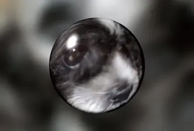 Baby in a bubble!   L