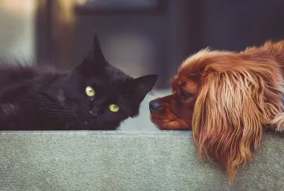 friends