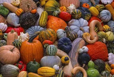 פאזל של Pumpkins