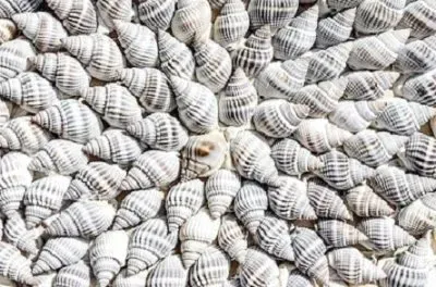 Imagem jigsaw puzzle