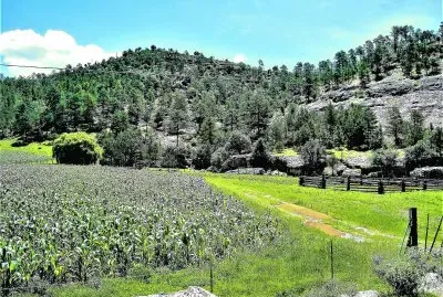 Sierra Tarahumara, Chihuahua.