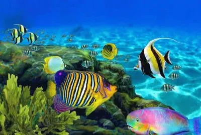 פאזל של Hawaiian Ocean