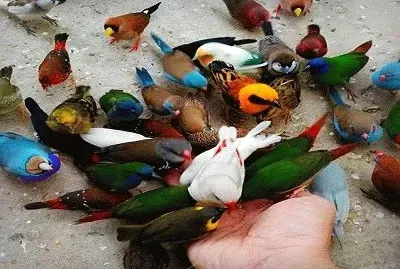 JR 005 jigsaw puzzle