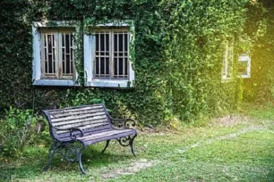 Imagem jigsaw puzzle