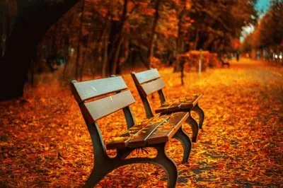 Foto jigsaw puzzle