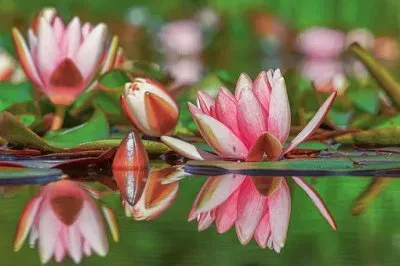 Foto jigsaw puzzle