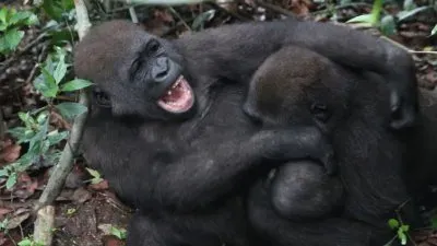 SO hard but the final is glorious