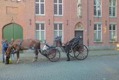 CARRUAJE EN BRUJAS