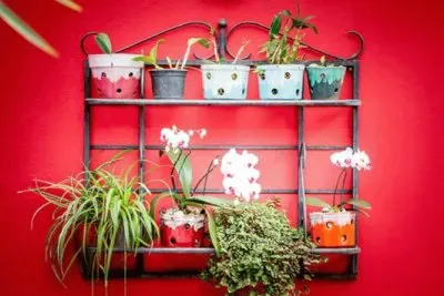 Foto jigsaw puzzle