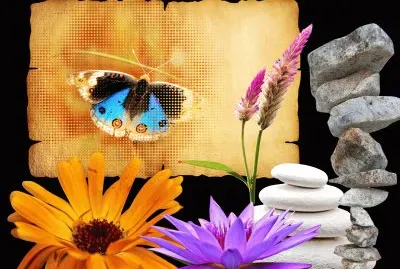 Zenitude