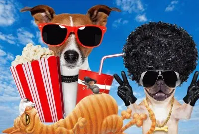 Rigolo jigsaw puzzle