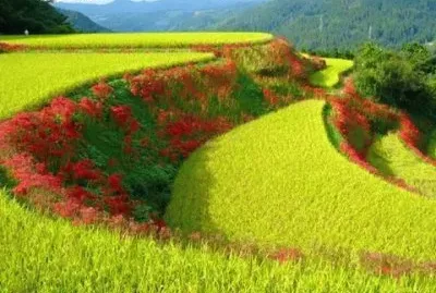 naturaleza