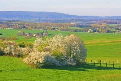 Imagem jigsaw puzzle