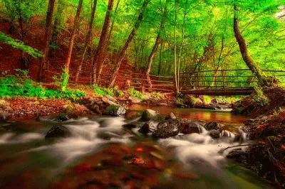 Imagem jigsaw puzzle