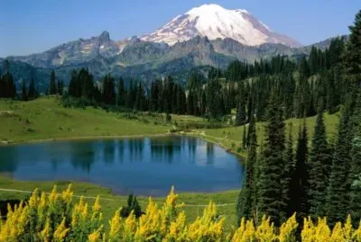 Foto jigsaw puzzle