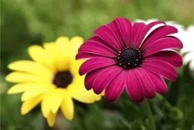 167