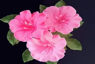 171
