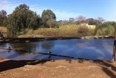 favorite pictures from my iPhone