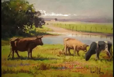 פאזל של JR 115