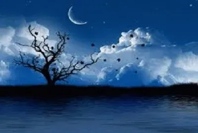 NOTURNO 15