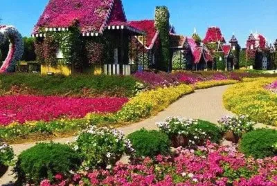 imagem jigsaw puzzle
