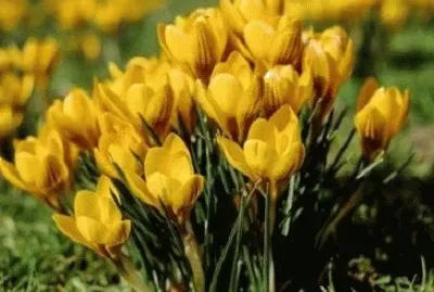 277