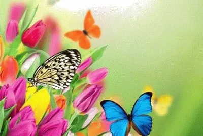 304