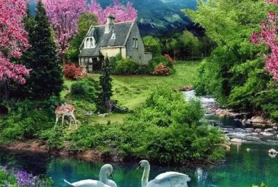 naturaleza jigsaw puzzle