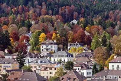 naturaleza jigsaw puzzle