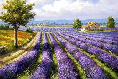 naturaleza jigsaw puzzle