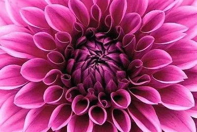 325
