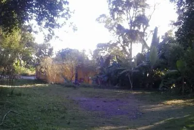 Los Mangos, Caripito