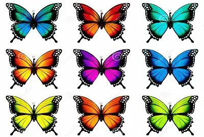 331 jigsaw puzzle