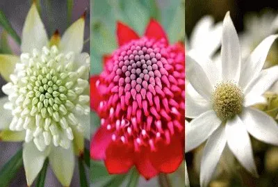 349