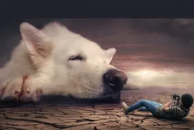 Foto