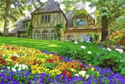 Foto jigsaw puzzle