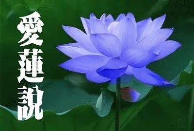 384