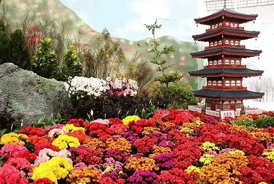 451 jigsaw puzzle