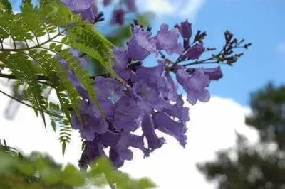 imagem jigsaw puzzle