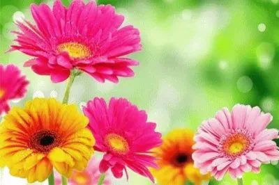 å½©è‰²ç”Ÿæ´» jigsaw puzzle