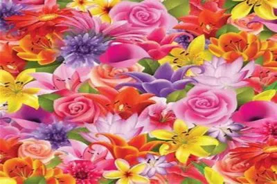 å°ç¢ŽèŠ± jigsaw puzzle