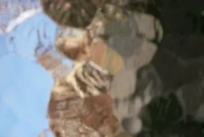 reflejos jigsaw puzzle