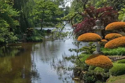 Nature jigsaw puzzle