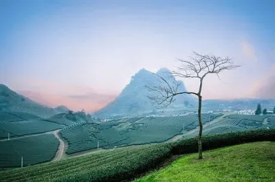 Nature jigsaw puzzle