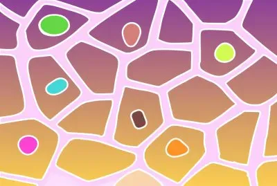 Divers jigsaw puzzle