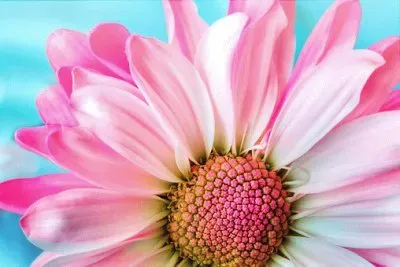Foto jigsaw puzzle