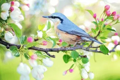 Foto jigsaw puzzle
