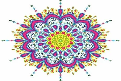 557