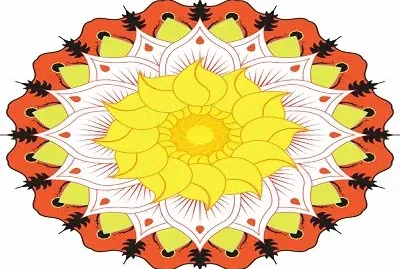 566